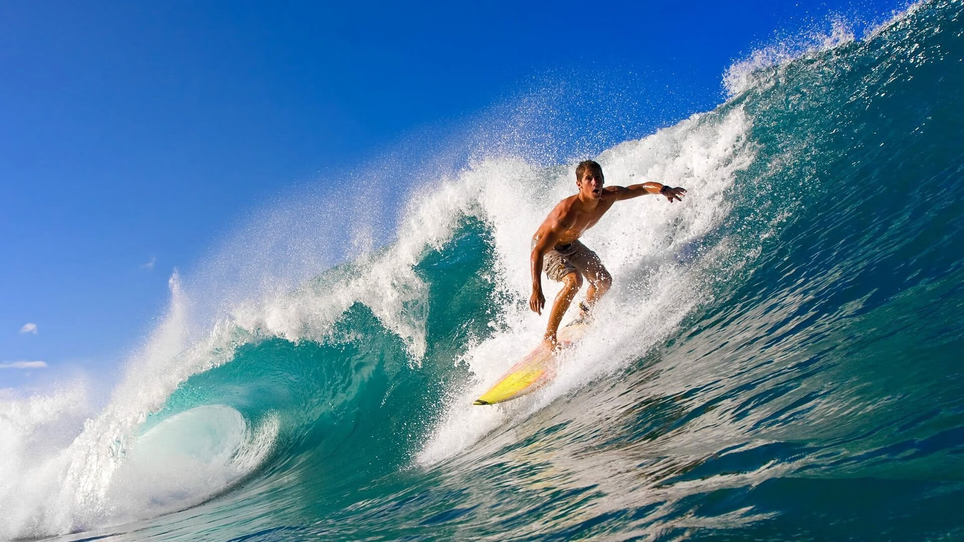 特色山林迷宫穿越，运动与智趣结合的趣味盛会，山林迷案